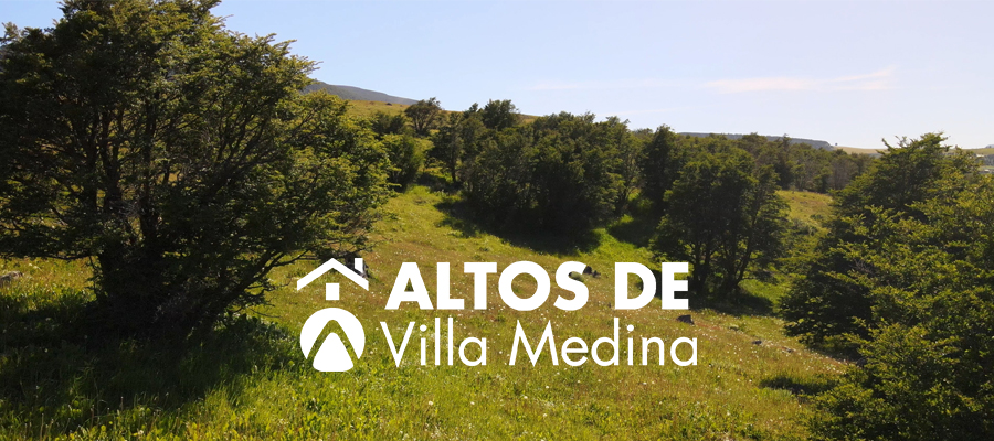 altos de villa medina