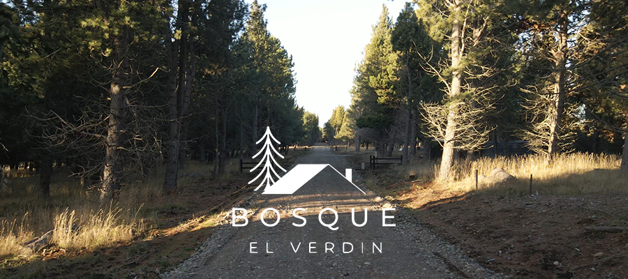 elbosque